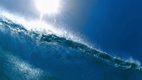symphony for our world GIF by Nat Geo Wild 