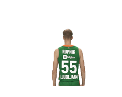 Lukarupnik Sticker by kkcedevitaolimpija