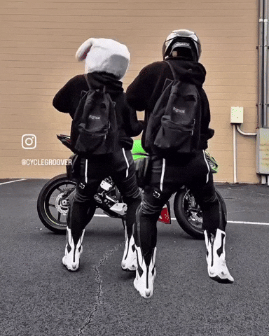 Dance Shake GIF