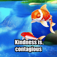 Kindness Wisdom GIF by TheConfishius