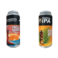 d9brewing beer cheers drinking d9 Sticker