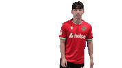 Lee H96 Sticker by Hannover 96