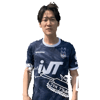 Football Sport Sticker