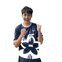 Football Sport Sticker