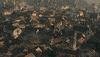 Fire World GIF by Warner Bros. Deutschland
