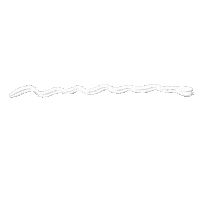 Happy Animation Sticker