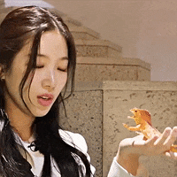 K Pop Cutie GIF