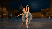 Enblecorsaire GIF by English National Ballet