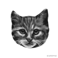 thebluesquare big poppa e GIF