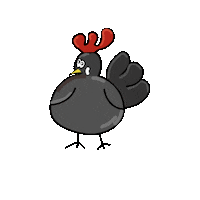 Chickens_gang chickens chicks poule babette Sticker
