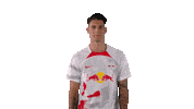 Was Soll Das Come On Sticker by RB Leipzig