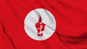 Victory Day Bangladesh GIF