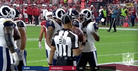 Los Angeles Rams Football GIF by NFL