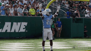 lewis jr football GIF by GreenWave