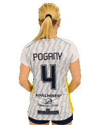 Volleyball Sticker by SSCPalmbergSchwerin