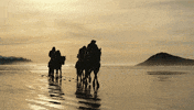 GIF by War for the Planet of the Apes
