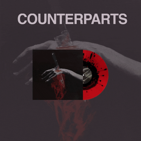 GIF by Pure Noise Records