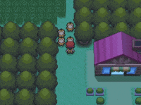 Psyduck GIF by Pokémon
