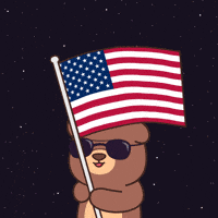 United States Celebration GIF by BEARISH