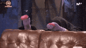 el hormiguero la resistencia GIF by Movistar+