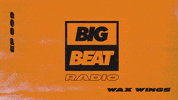wearebigbeat dance music house edm GIF