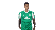 Davie Selke Goal Sticker by SV Werder Bremen