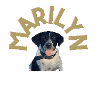 Black Truffle Dogs Sticker by Trufas del Nuevo Mundo