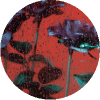 Burning Heart Sticker by Dashboard Confessional