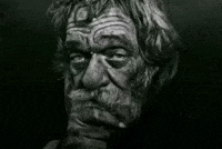 Stare Einstein GIF