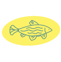 Summer Color Sticker by Maaji Swimwear