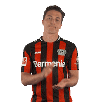 Bayer 04 Slow Clap Sticker by Bayer 04 Leverkusen