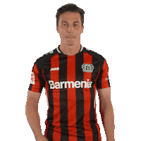 Bayer 04 Yes Sticker by Bayer 04 Leverkusen