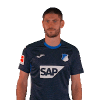 Andrej Kramaric Sport Sticker by TSG Hoffenheim