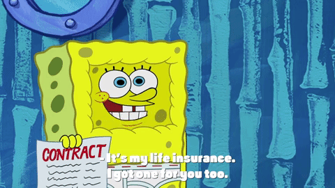 season 10 episode 6 GIF by SpongeBob SquarePants