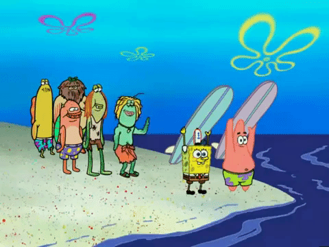 season 6 GIF by SpongeBob SquarePants