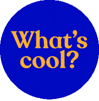 thecoolschool cool thecoolschool whatscool Sticker