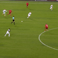 1 Fc Cologne Football GIF by 1. FC Köln