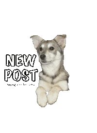 New Post Helping Sticker by helpinganimalsromania