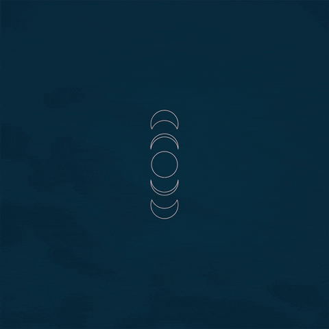 oitozerooitodesign giphygifmaker design process mariana barros brand logo design GIF