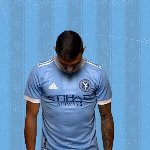 Major League Soccer Mls GIF by NYCFC