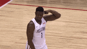 Zion Williamson Nba GIF by ESPN