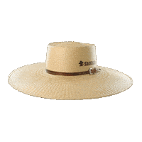 Hat Cowboy Sticker by Sacudidos