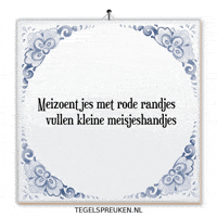 Humor Nl GIF by Tegelspreuken.nl