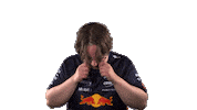 Red Bull Sr Sticker by Oracle Red Bull Racing