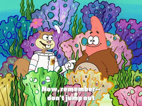 season 3 GIF by SpongeBob SquarePants