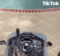 Car Duck GIF by TikTok