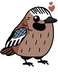 Bird Jay Sticker by mahoniemoni