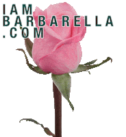 Pink Rose Aob Sticker by Barbarella