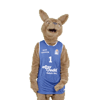 social-media-easycredit basketball zeigen easycredit ellihoop Sticker