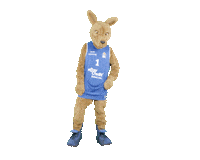 social-media-easycredit basketball easycredit ellihoop easycredit-bbl Sticker